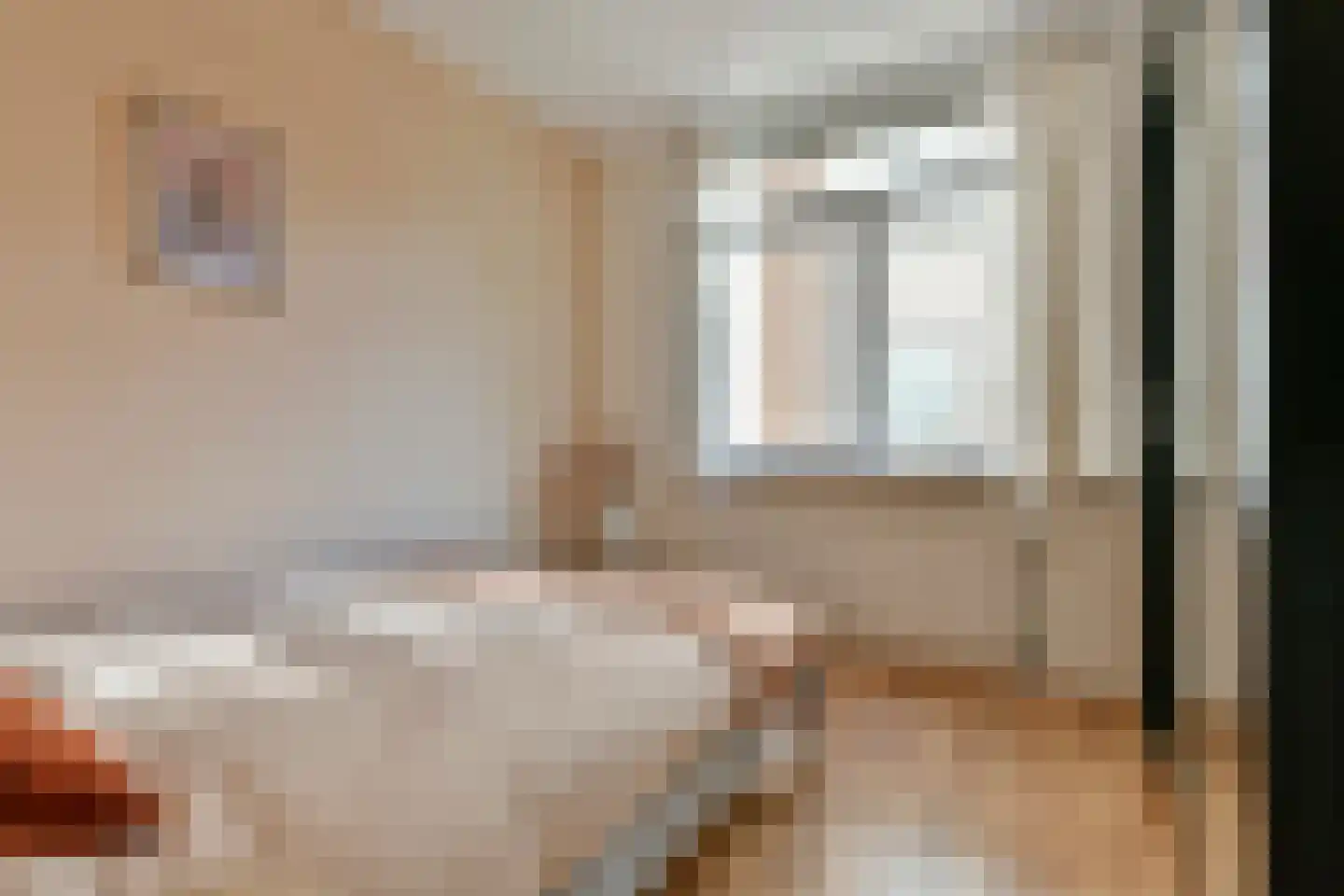 Amaliastraat 20 2 Amsterdam thumbnail 11
