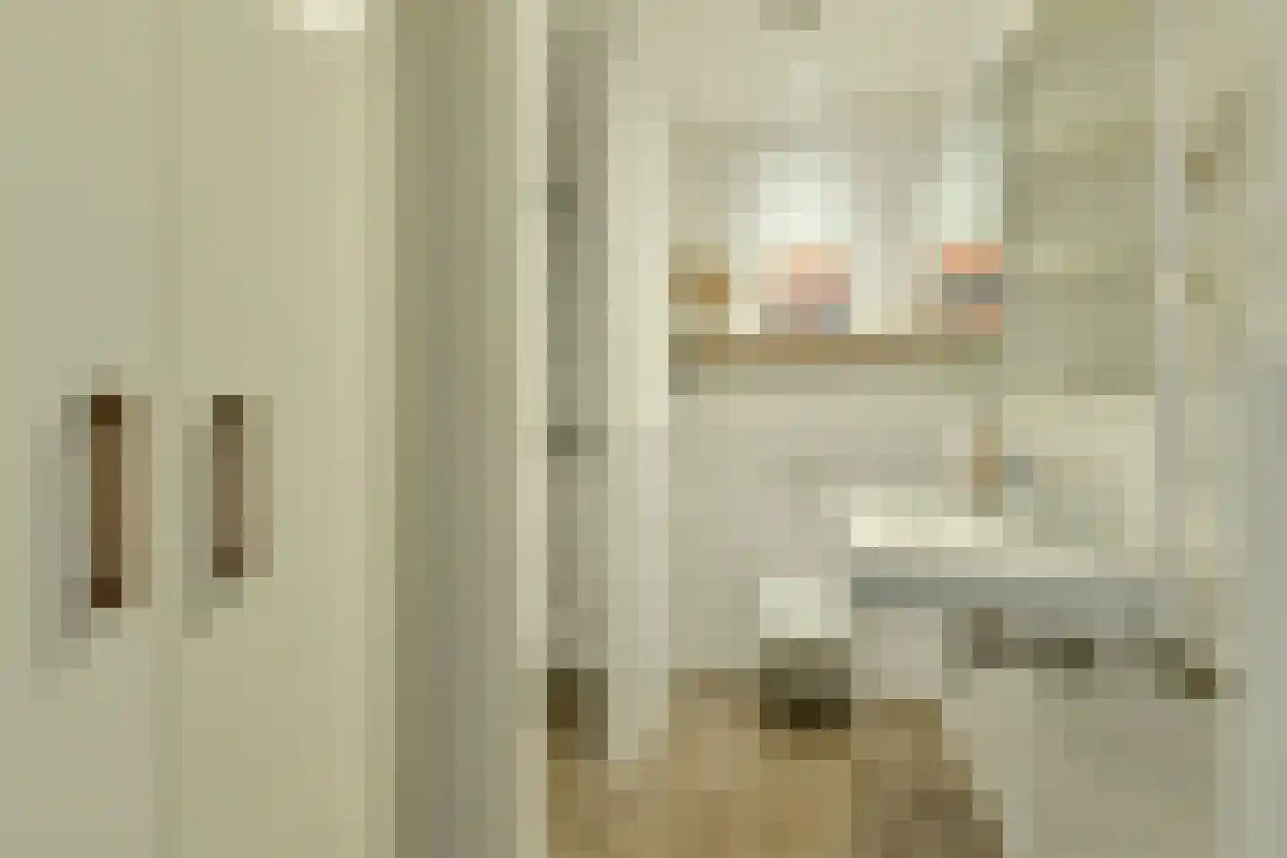 Amaliastraat 20 2 Amsterdam thumbnail 16