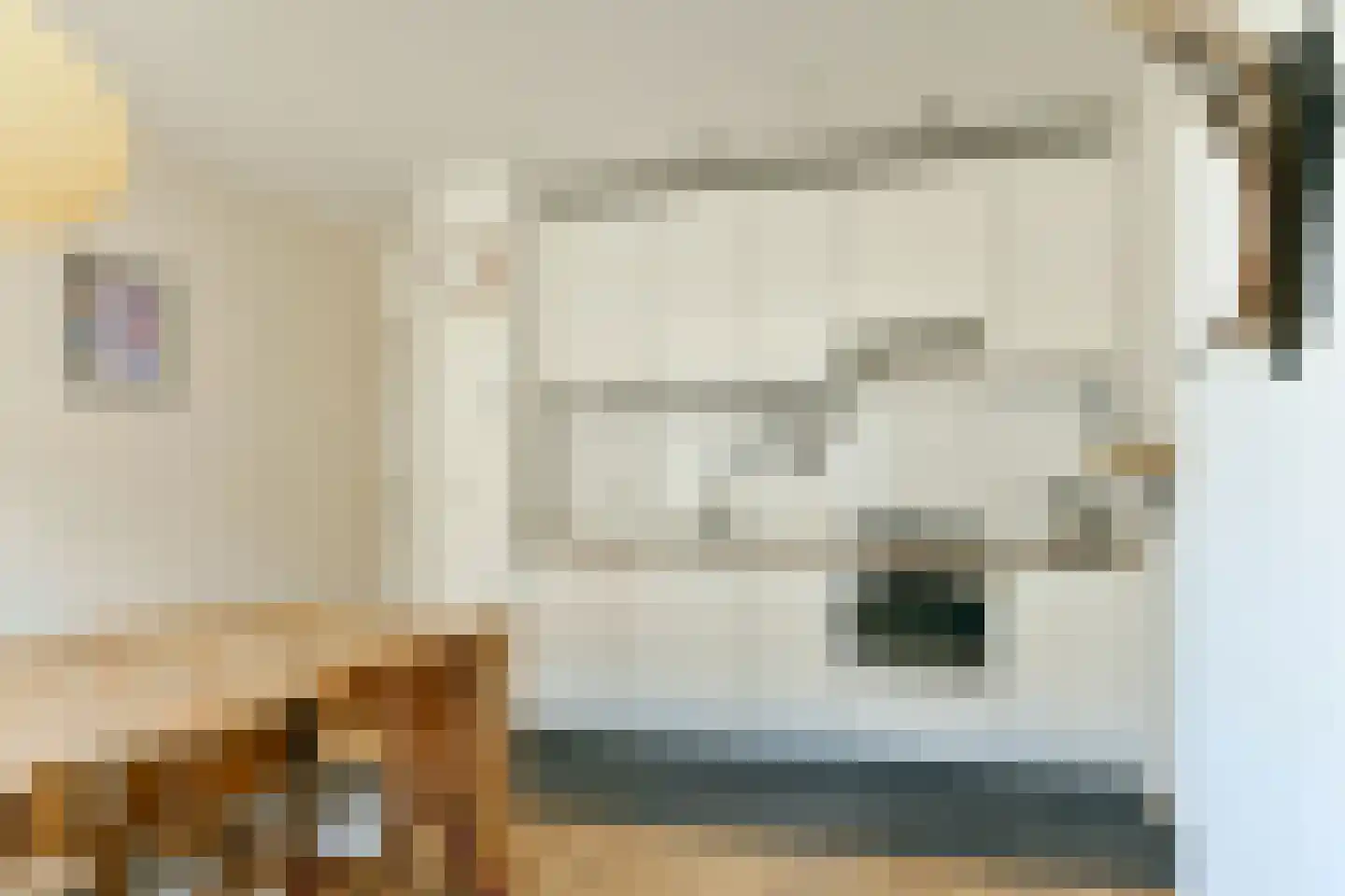 Amaliastraat 20 2 Amsterdam thumbnail 6