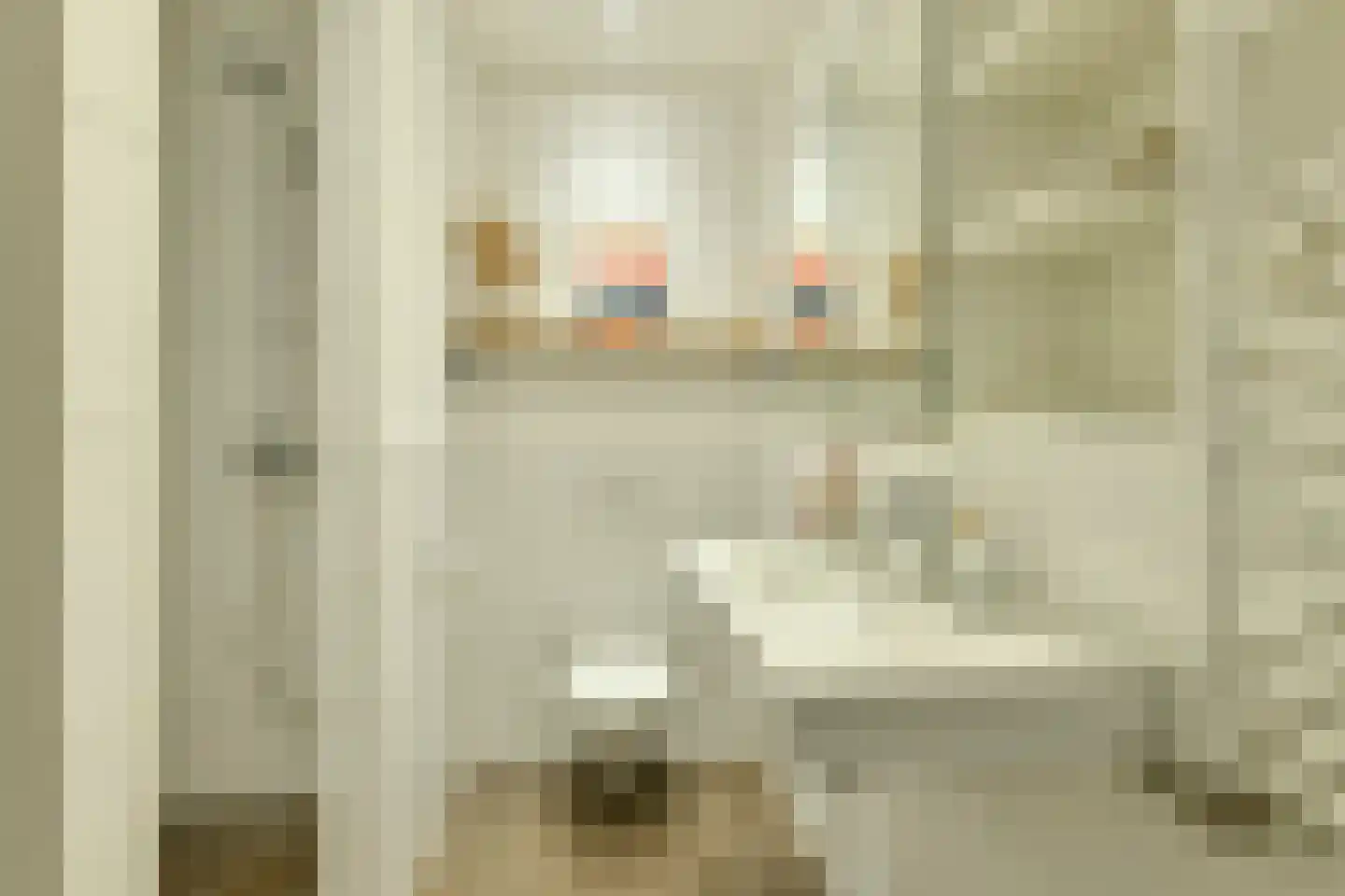 Amaliastraat 20 3 Amsterdam thumbnail 14