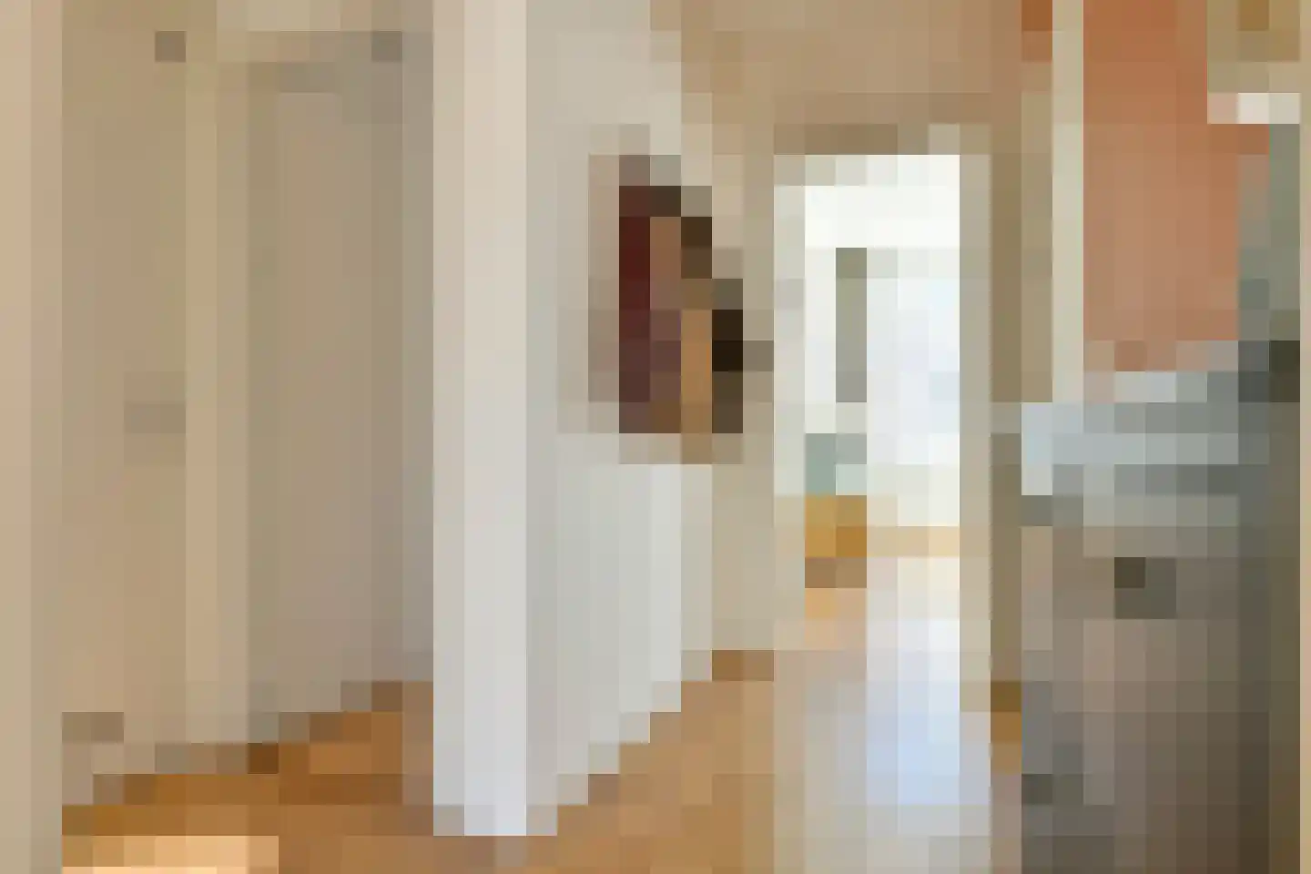 Amaliastraat 20 3 Amsterdam thumbnail 18