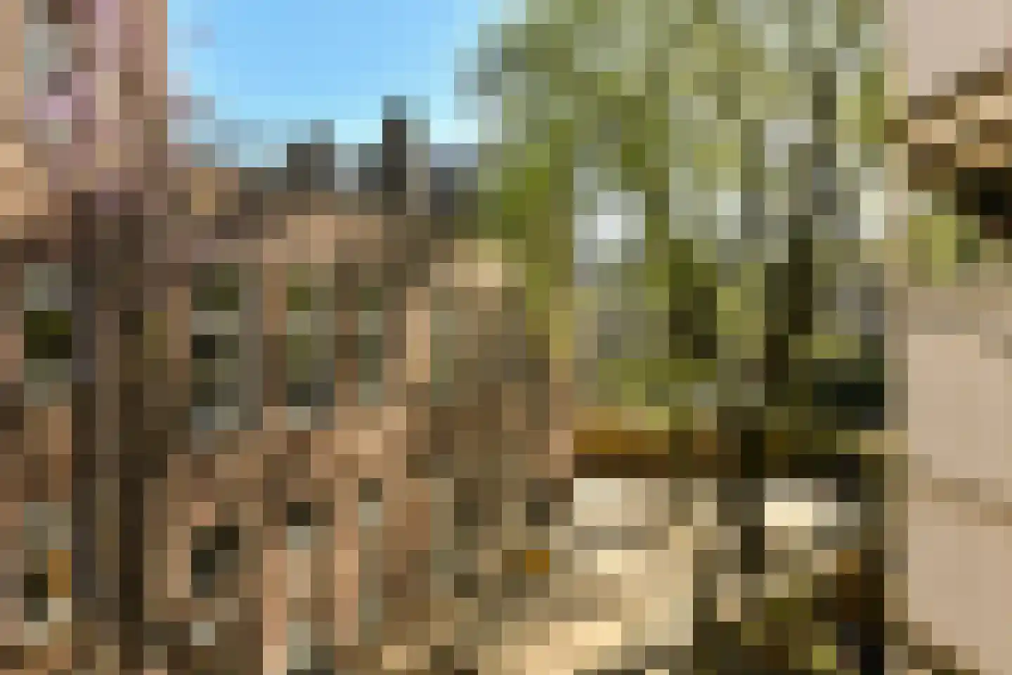 Amaliastraat 20 3 Amsterdam thumbnail 19