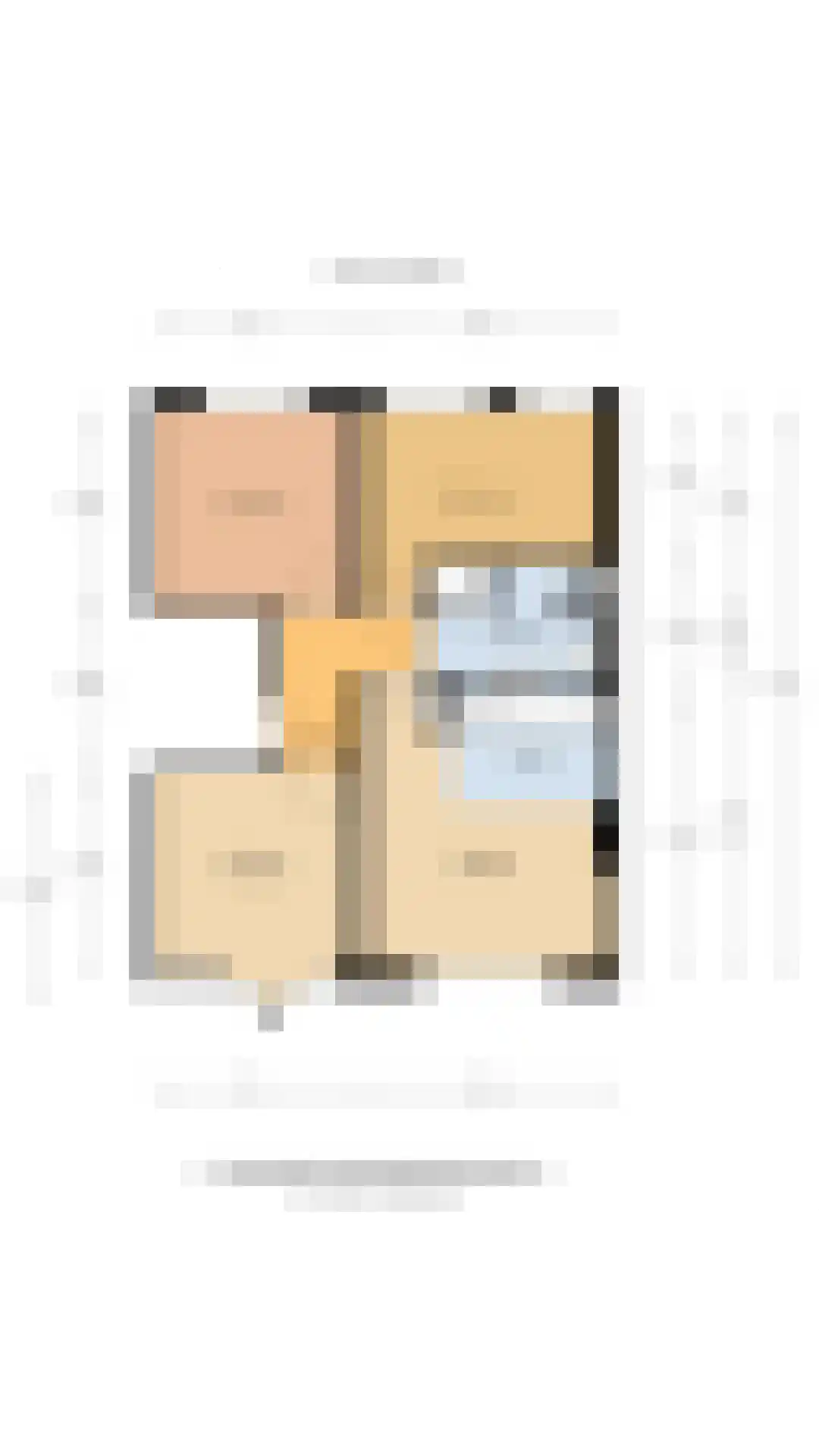 Amaliastraat 20 3 Amsterdam thumbnail 22
