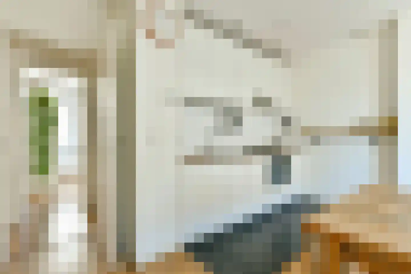 Amaliastraat 20 3 Amsterdam thumbnail 5