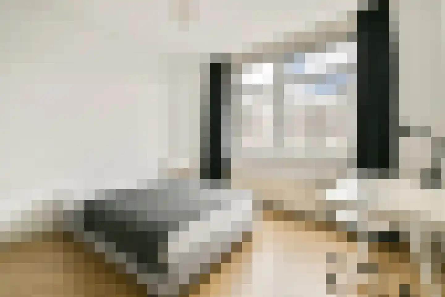 Amaliastraat 22 1 Amsterdam thumbnail 11