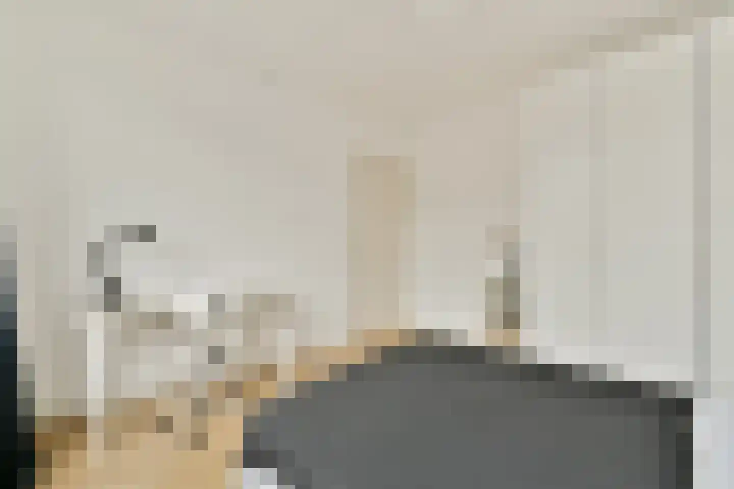 Amaliastraat 22 1 Amsterdam thumbnail 12
