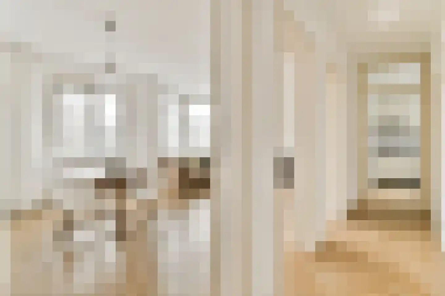 Amaliastraat 22 1 Amsterdam thumbnail 5