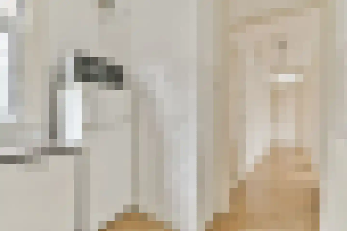 Amaliastraat 22 1 Amsterdam thumbnail 9