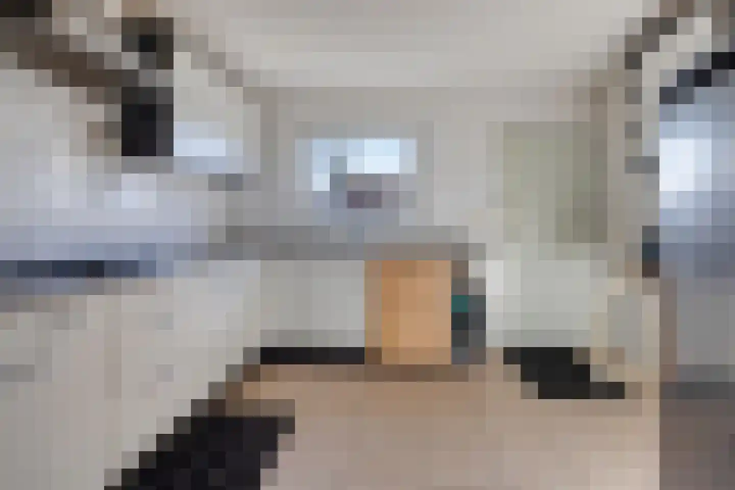 Amaliastraat 23 Sas van Gent thumbnail 10