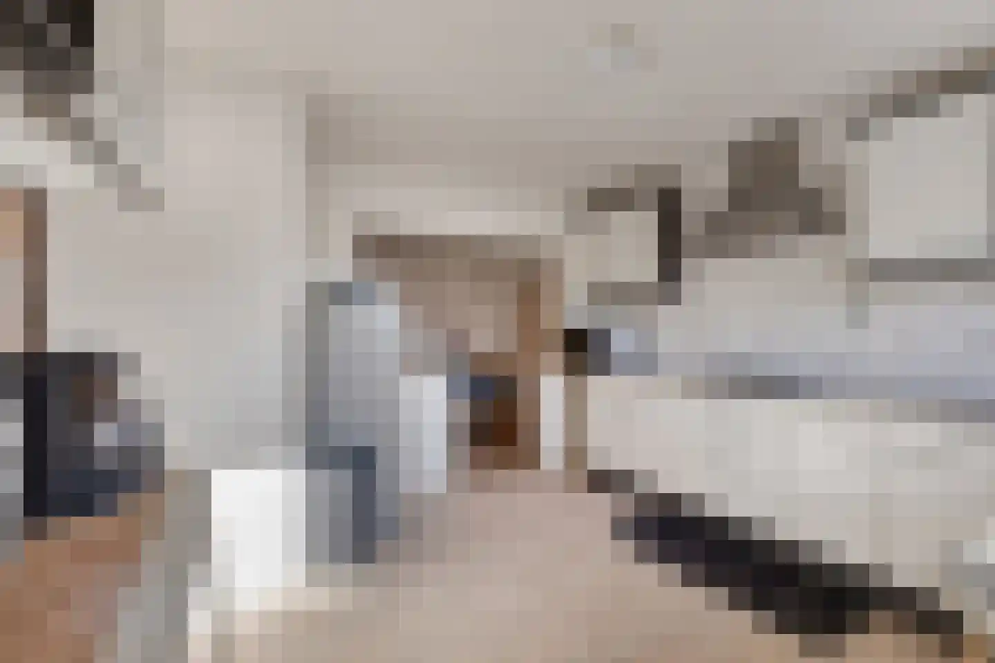 Amaliastraat 23 Sas van Gent thumbnail 12
