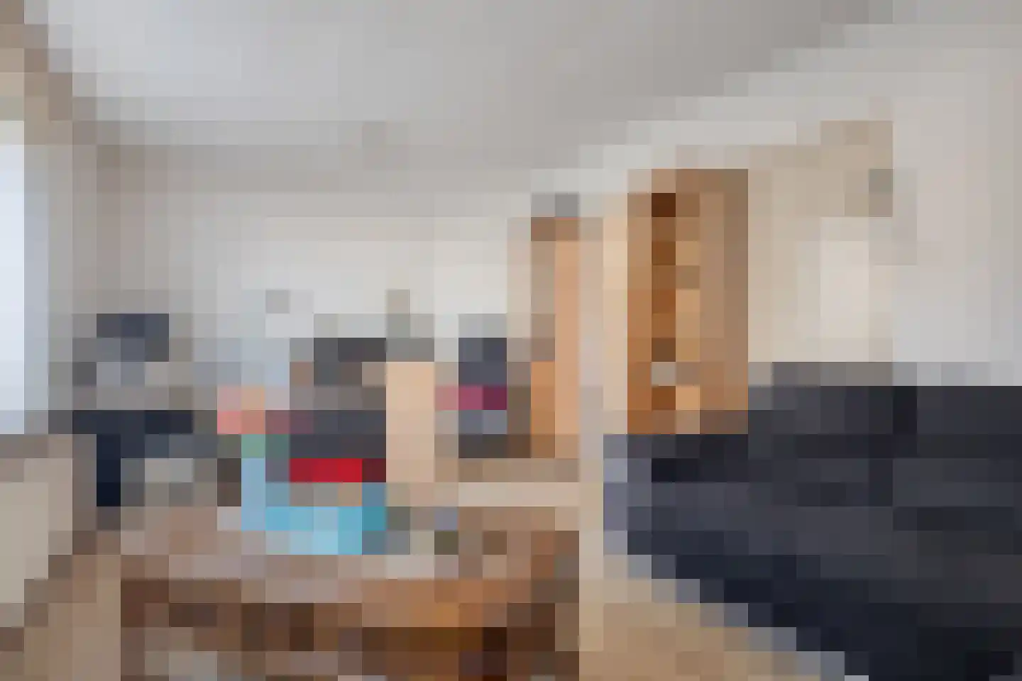 Amaliastraat 23 Sas van Gent thumbnail 4