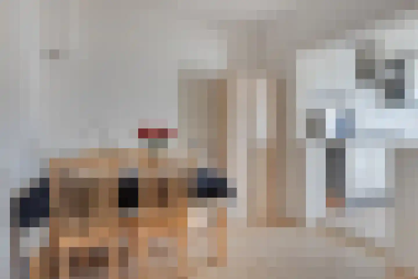 Amaliastraat 23 Sas van Gent thumbnail 7