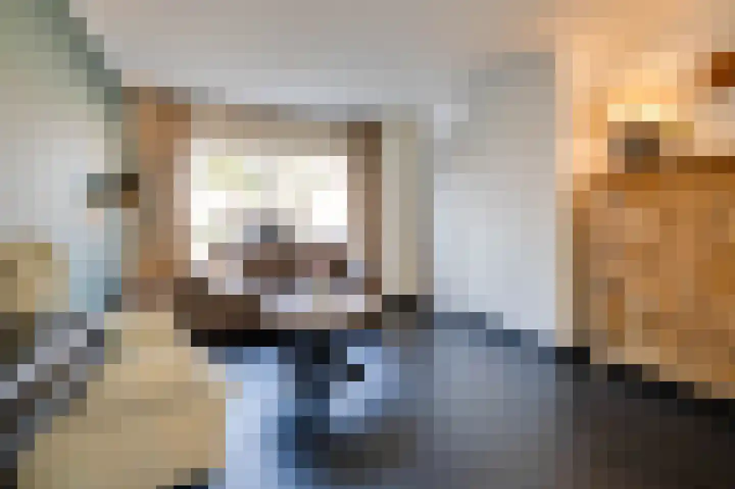 Amaliastraat 3 Melissant thumbnail 10