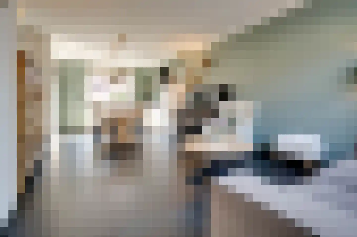 Amaliastraat 3 Melissant foto 2