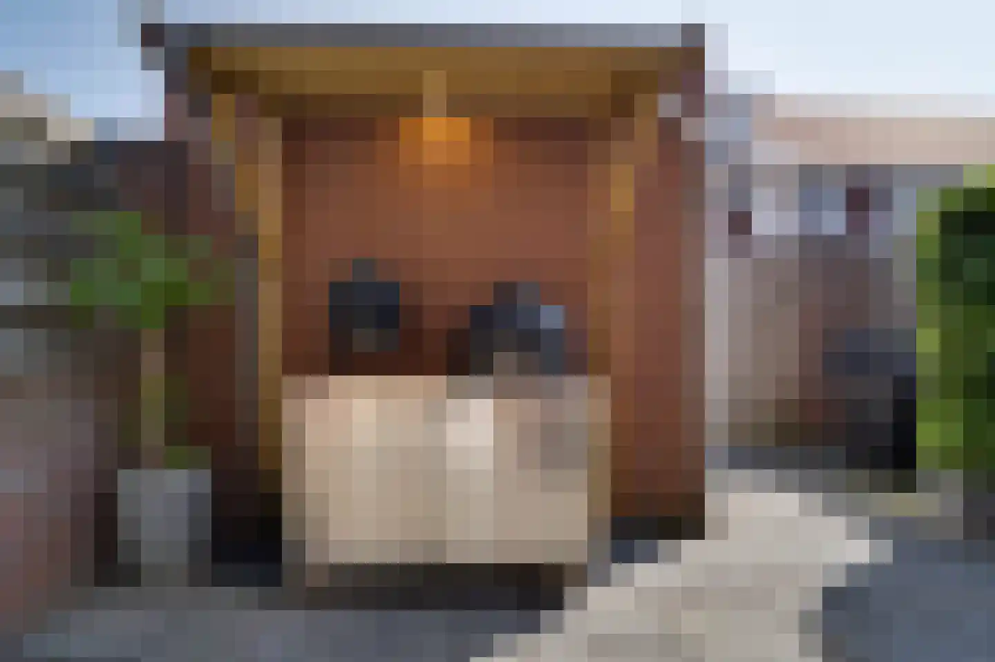 Amaliastraat 3 Melissant thumbnail 22