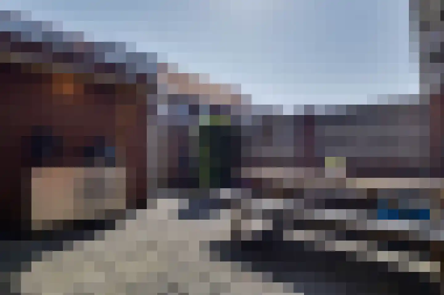 Amaliastraat 3 Melissant thumbnail 23