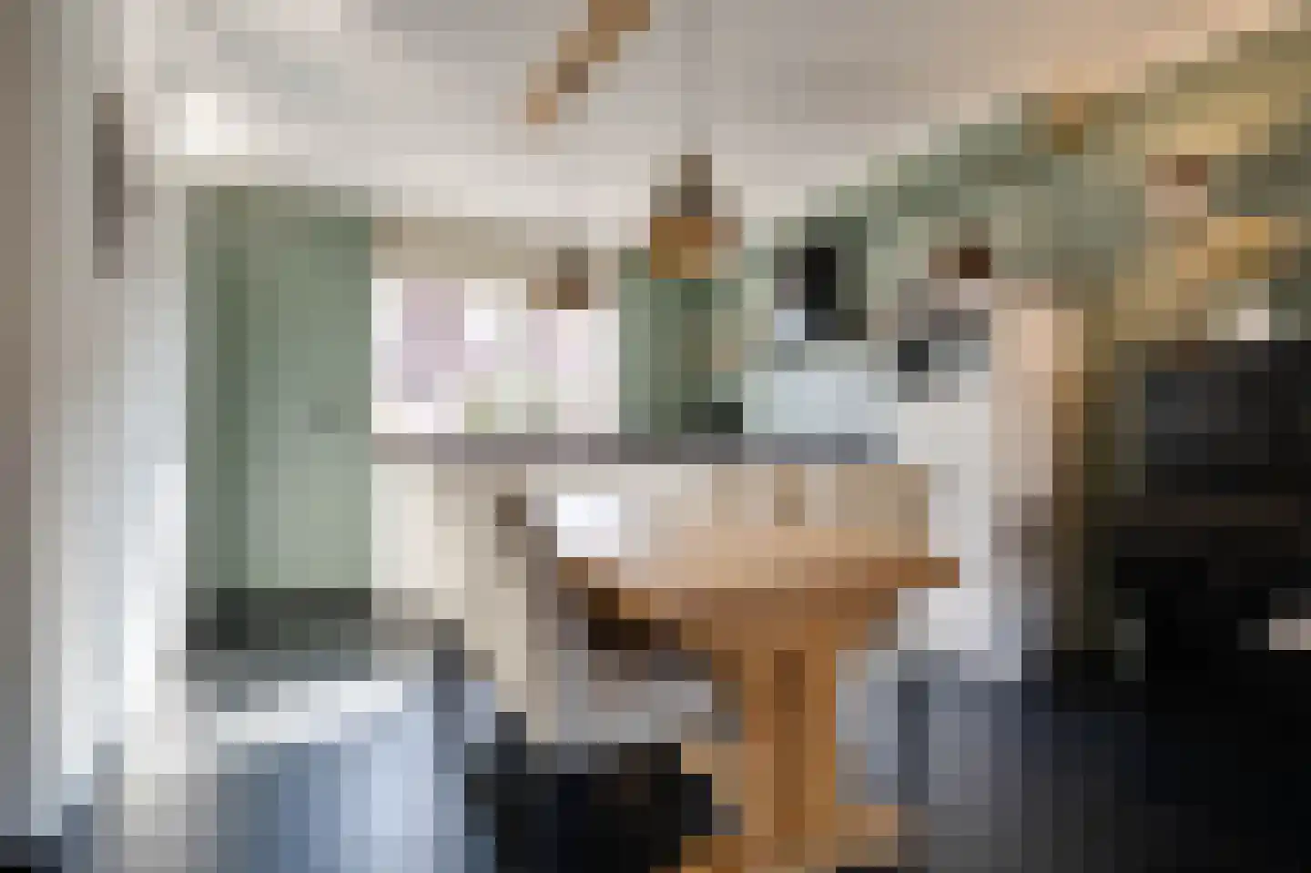 Amaliastraat 3 Melissant foto 3