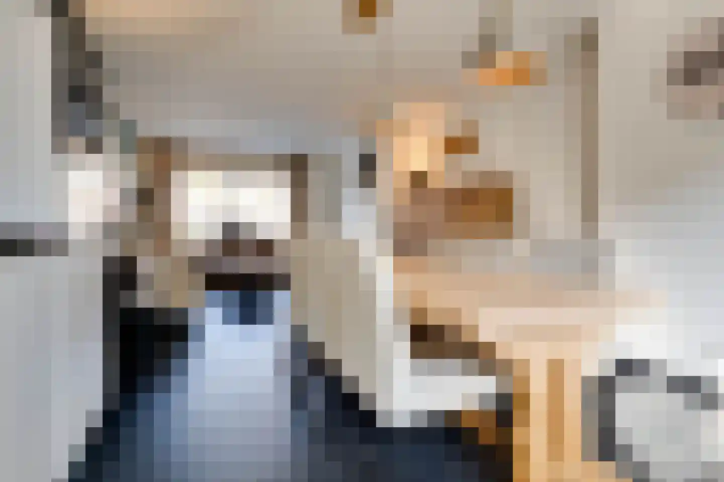 Amaliastraat 3 Melissant thumbnail 6