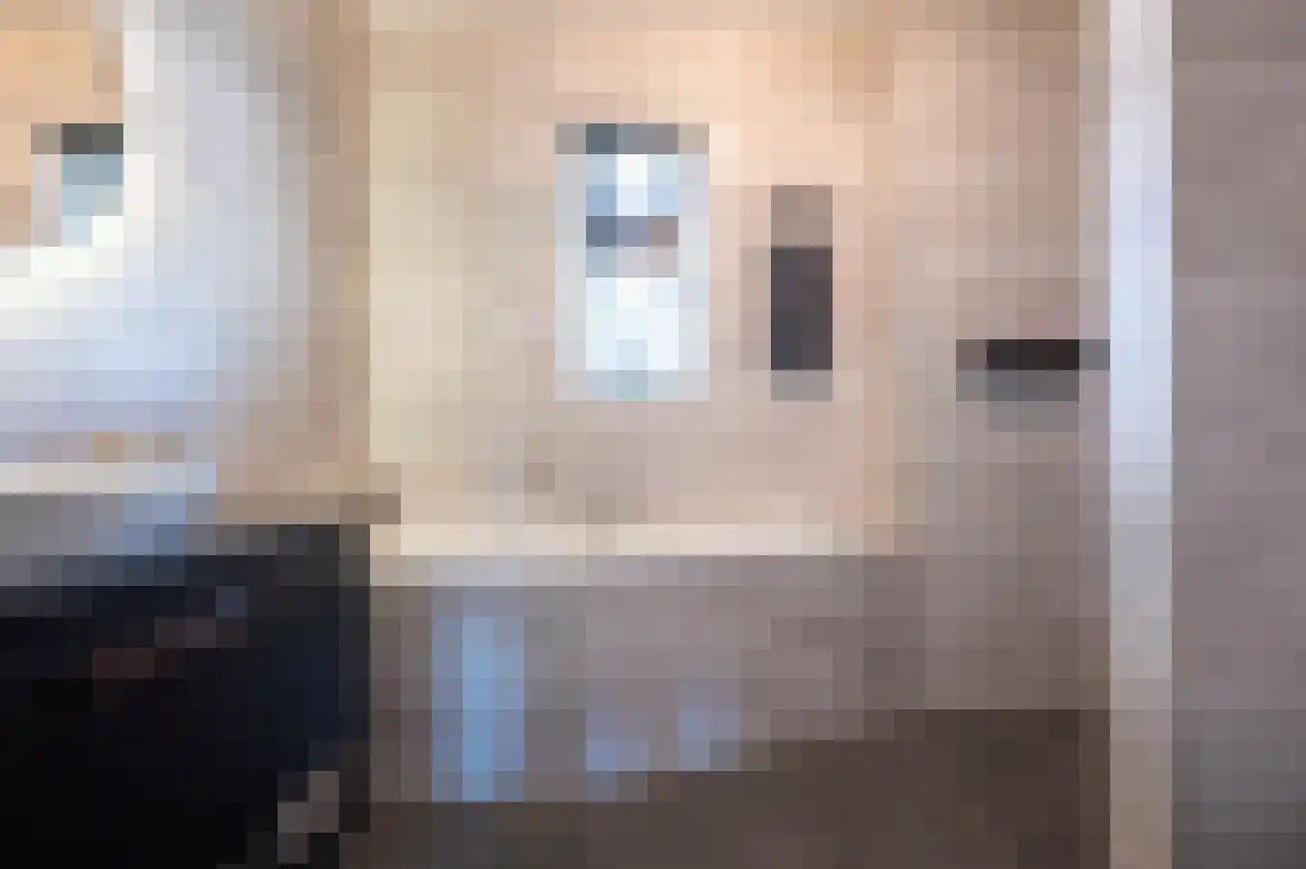 Amaliastraat 32 St. Willebrord thumbnail 35
