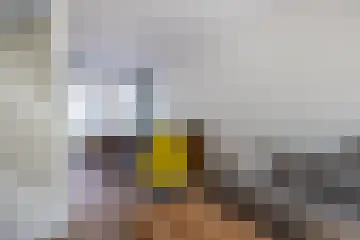 Amaliastraat 34 Utrecht thumbnail 10