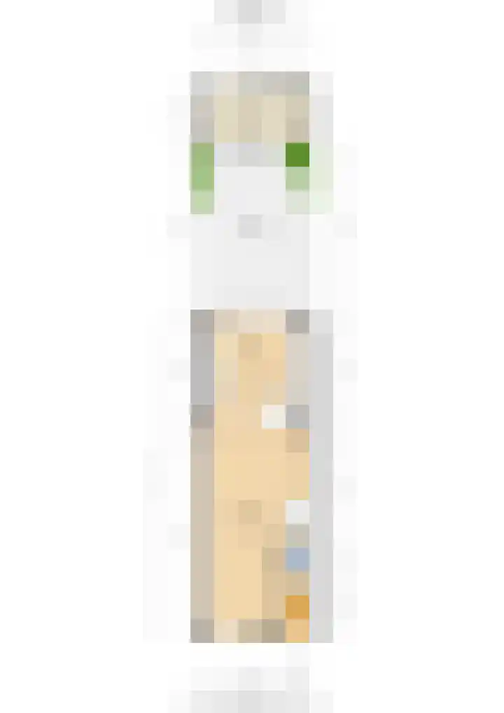 Amaliastraat 34 Utrecht thumbnail 48