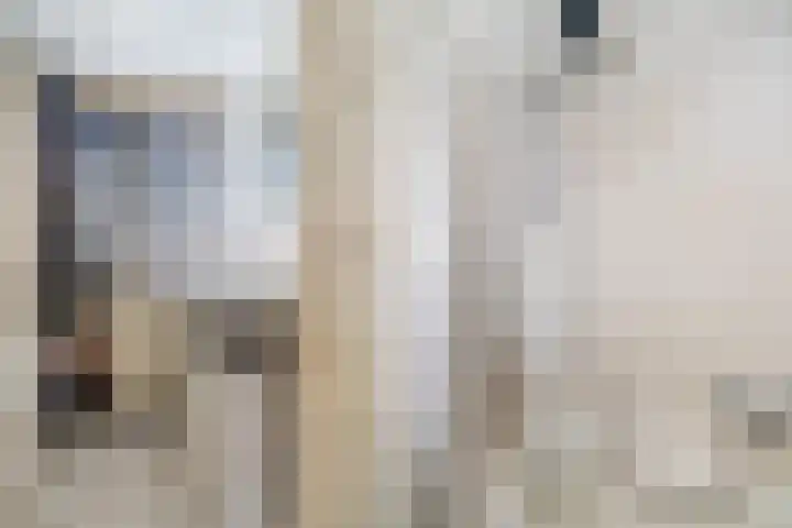 Amaliastraat 35 Sneek thumbnail 25