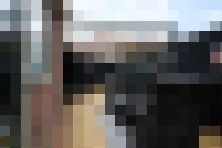 Amaliastraat 35 Sneek thumbnail 28