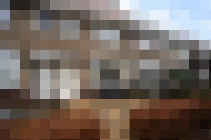 Amaliastraat 35 Sneek thumbnail 36