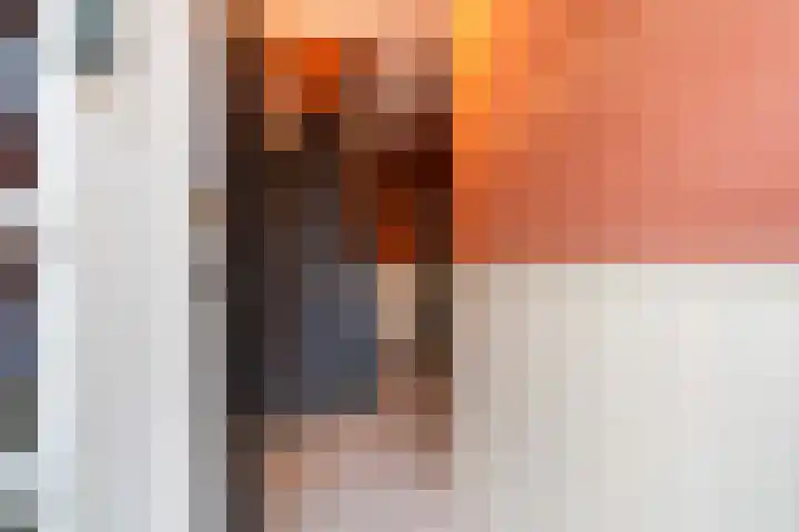 Amaliastraat 35 Sneek thumbnail 5