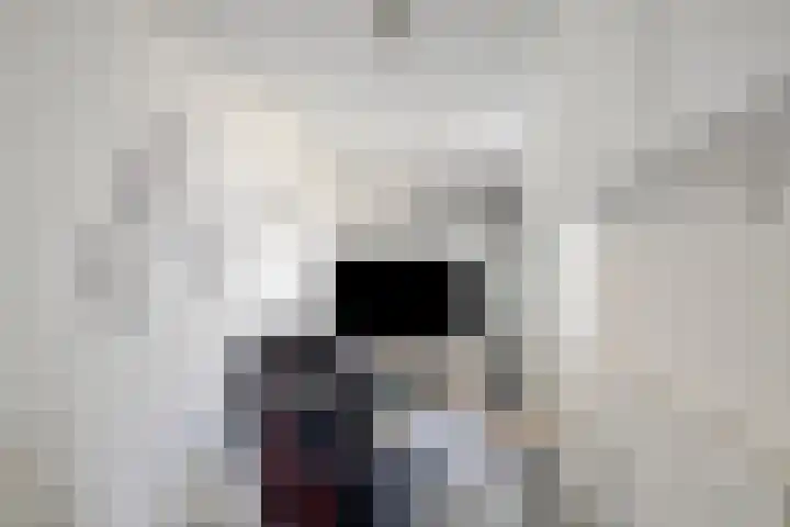 Amaliastraat 39 Sneek thumbnail 10