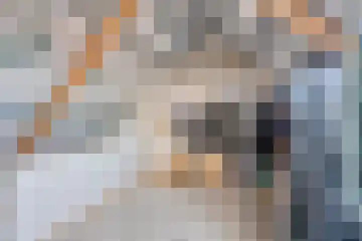 Amaliastraat 39 Sneek thumbnail 21