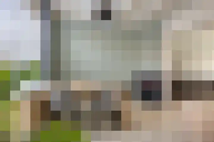 Amaliastraat 39 Sneek thumbnail 6
