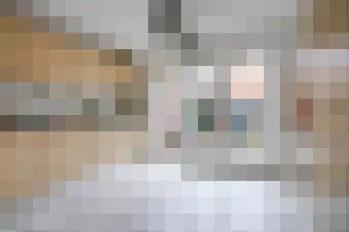 Amaliastraat 44 Utrecht thumbnail 11