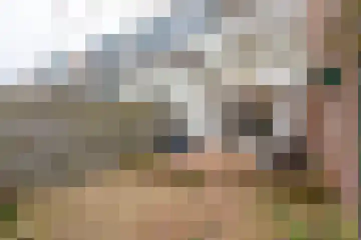 Amaliastraat 44 Utrecht thumbnail 13