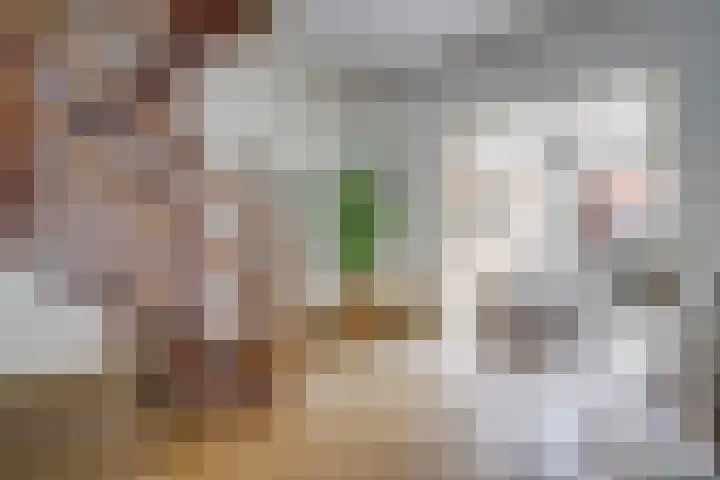 Amaliastraat 44 Utrecht thumbnail 15