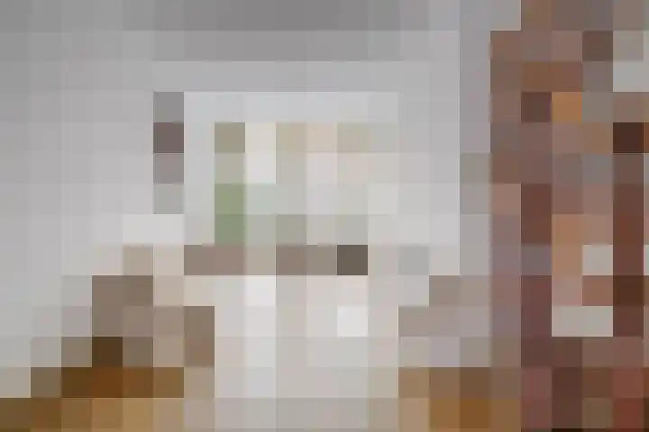 Amaliastraat 44 Utrecht thumbnail 16