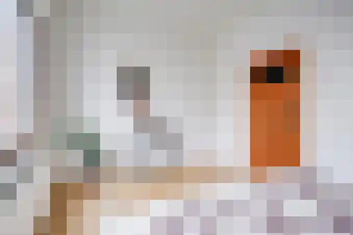 Amaliastraat 44 Utrecht thumbnail 18