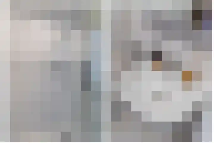 Amaliastraat 44 Utrecht thumbnail 20
