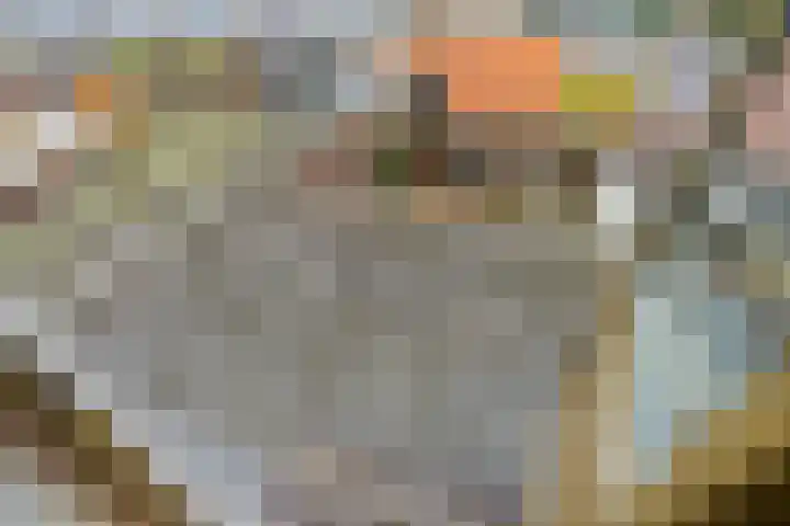 Amaliastraat 44 Utrecht thumbnail 23