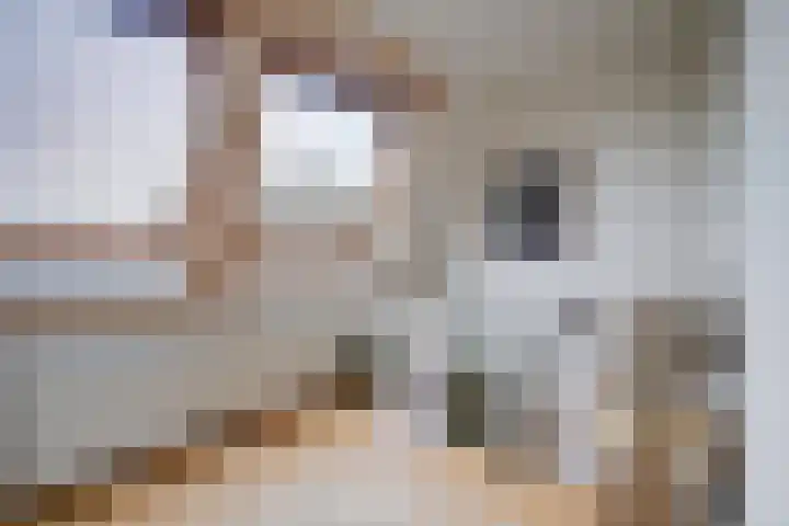 Amaliastraat 44 Utrecht thumbnail 27