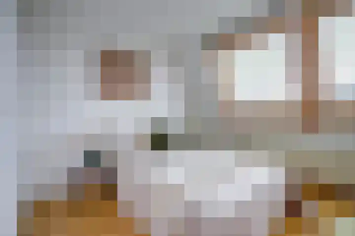 Amaliastraat 44 Utrecht thumbnail 29