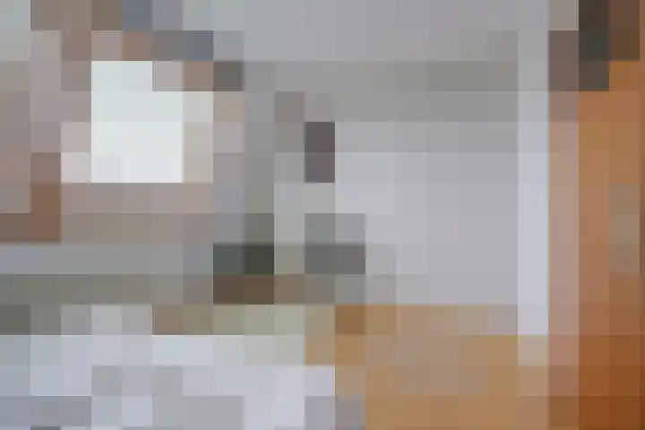 Amaliastraat 44 Utrecht thumbnail 30
