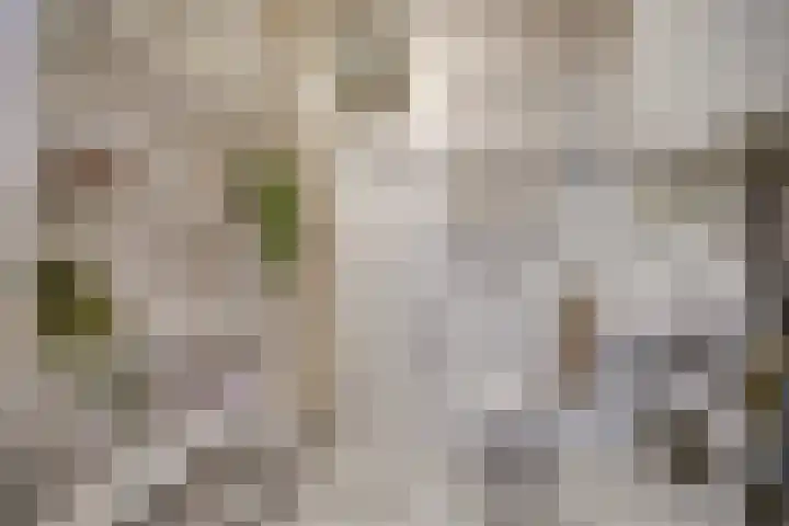 Amaliastraat 44 Utrecht thumbnail 31