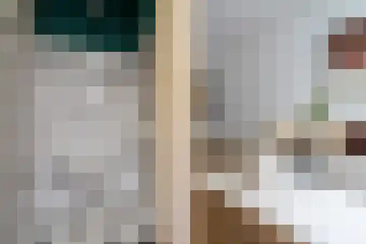 Amaliastraat 44 Utrecht thumbnail 6
