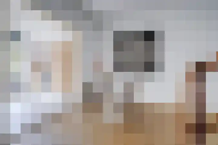 Amaliastraat 44 Utrecht thumbnail 8