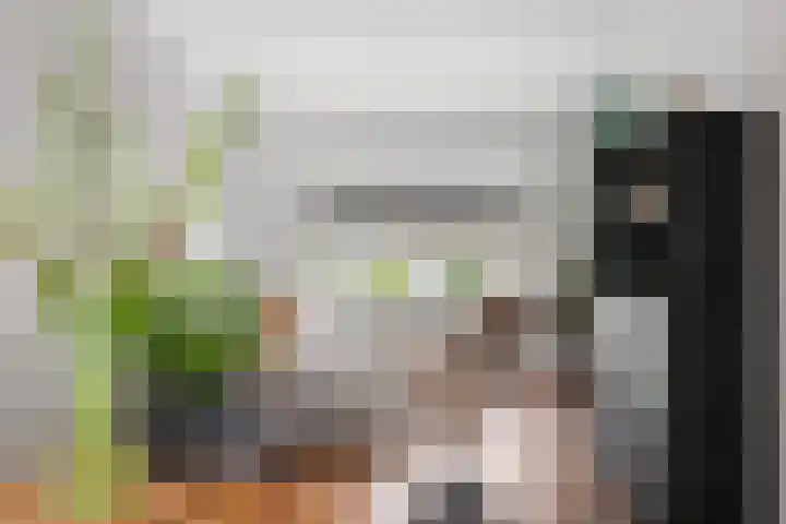 Amaliastraat 47 Sneek thumbnail 14