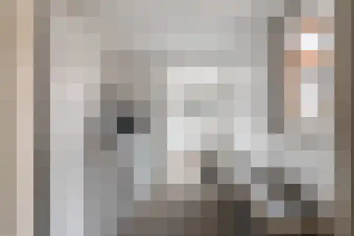 Amaliastraat 47 Sneek thumbnail 18