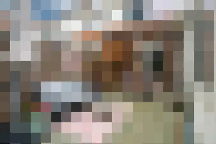 Amaliastraat 47 Sneek thumbnail 26