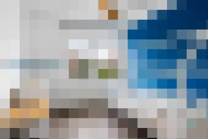 Amaliastraat 47 Sneek thumbnail 35