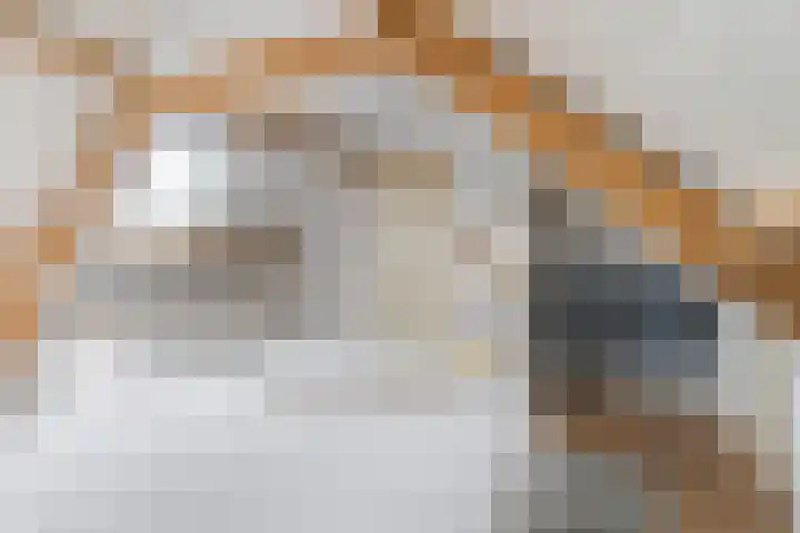 Amaliastraat 47 Sneek thumbnail 42